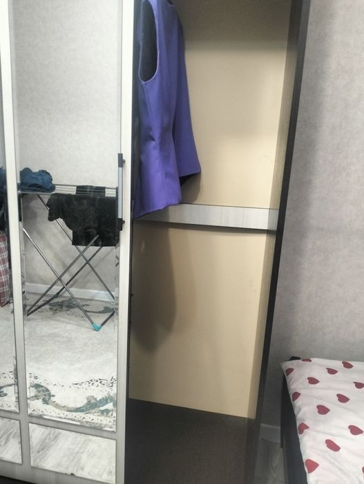 Шкаф для одежды с зеркалом