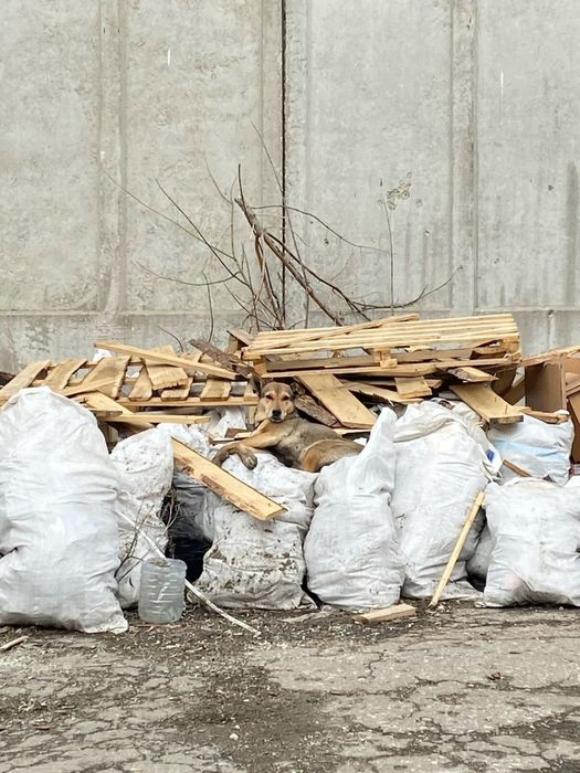 Вывоз мусора Газель +грузчики