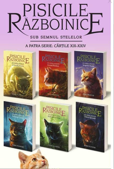 Pachet cărțile 19-24. Pisicile Războinice – Seria IV