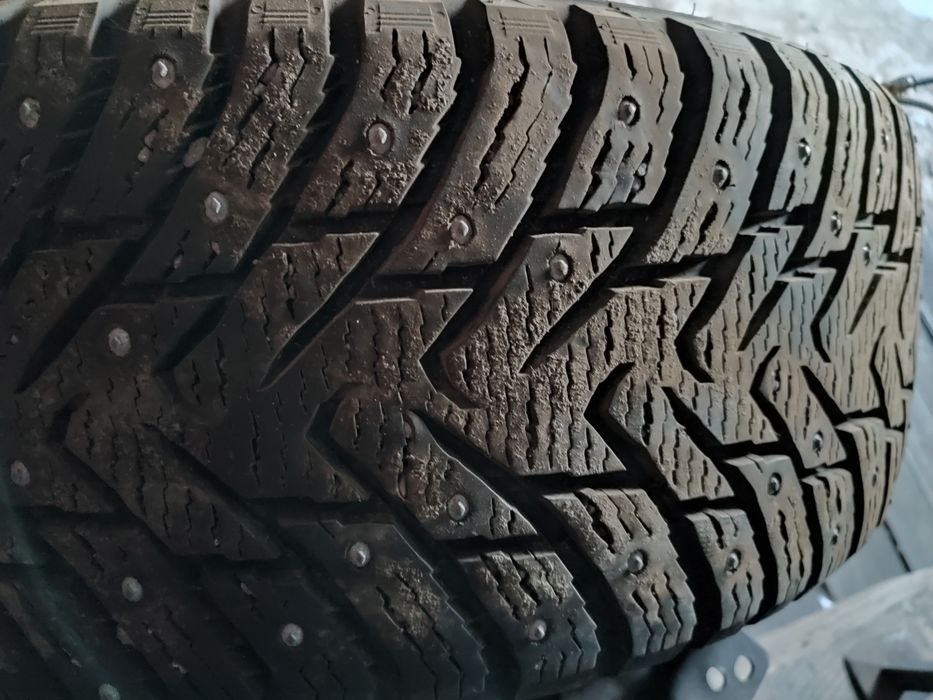 Нокиан, Данлоп зимняя