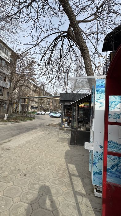 Овощии в аренду 777777