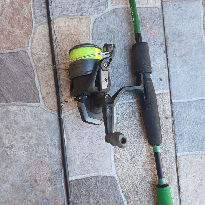 Unitata delfini wasabi