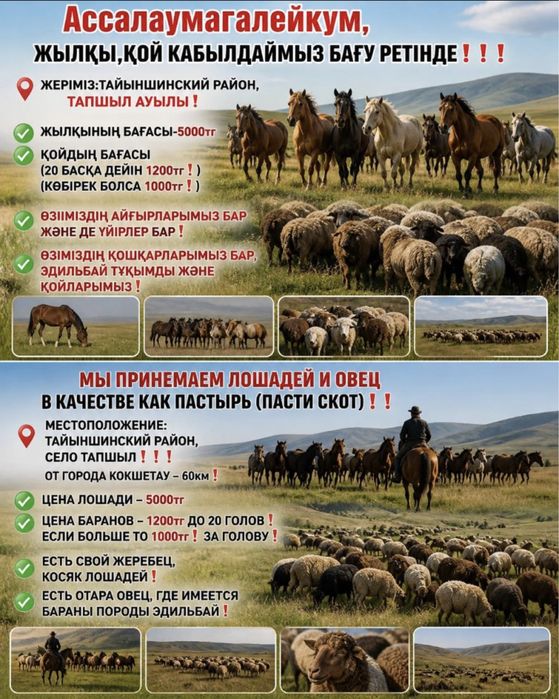 Ассалаумагалейкум,МАЛ БАҒАМЫЗ,ПАСЕМ СКОТ