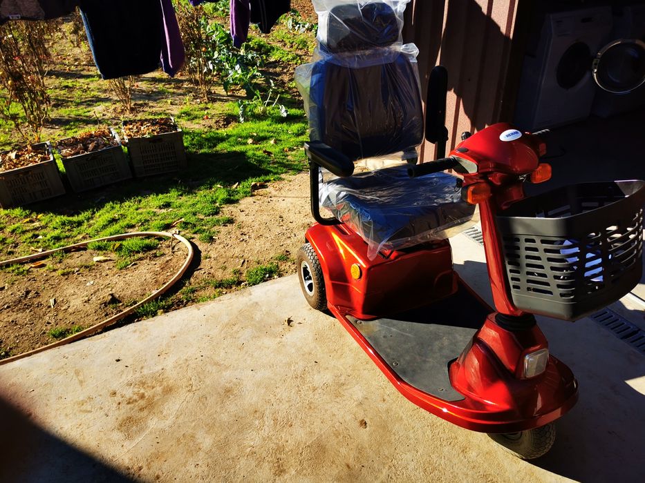 Carucior handicap electric