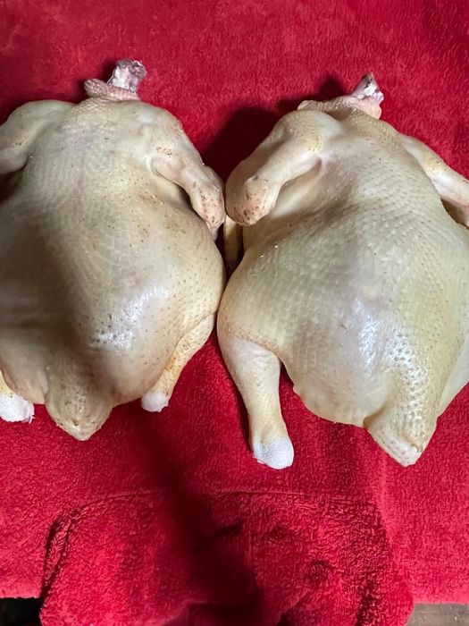 Продам вкусных домашних курочек
