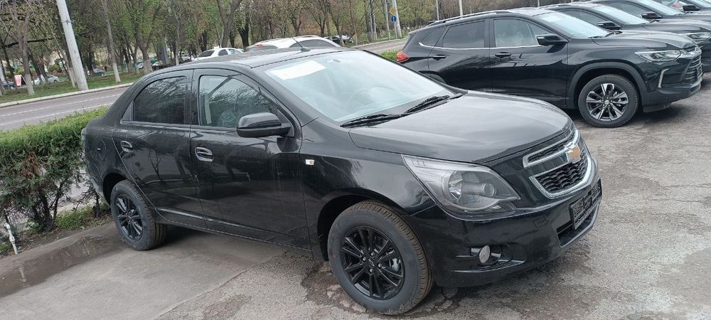 ‼️Masla Midnicht Qora mcm msm ‼️Coblt