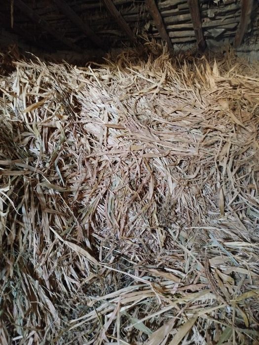 Мол  куелар  учун хашак Манзил Самарканд  Коттакурган