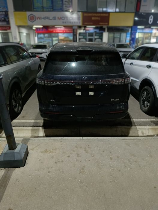 DOMFENG 008 Max Gibrit 2025