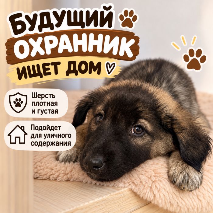 Отдам в хорошие руки