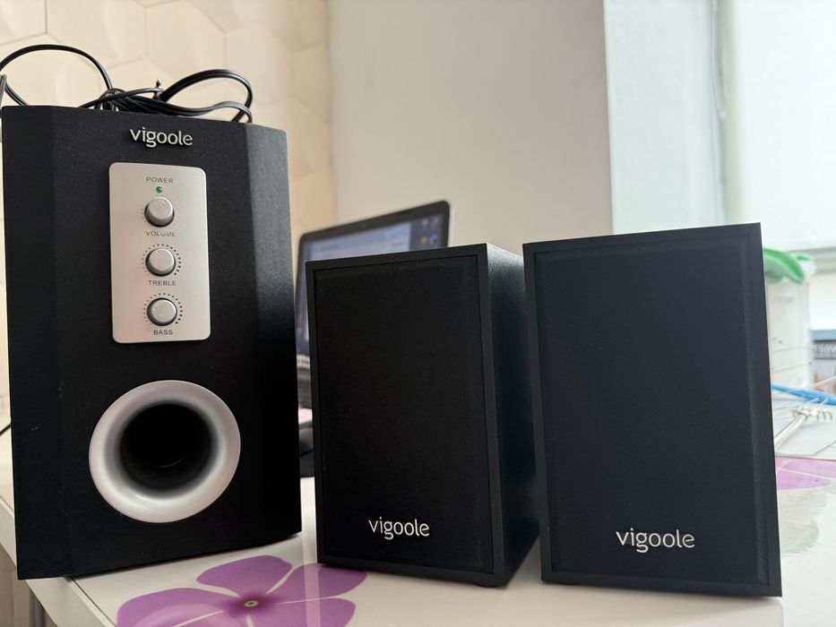 Акустическая система 2.1 Vigoole E3000