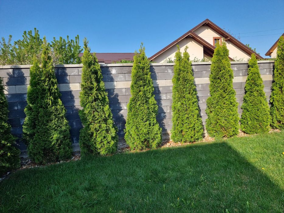 Servicii peisagistica și întreținere grădini