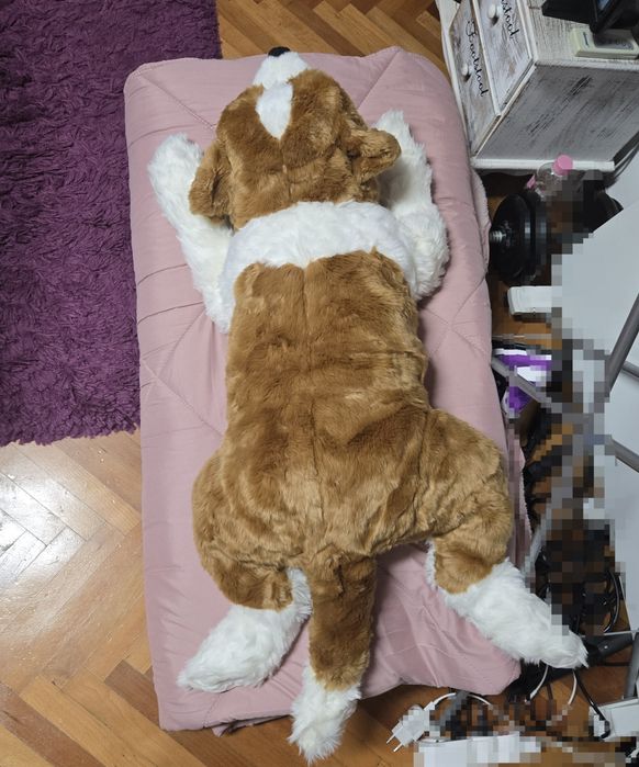 Ново голямо куче Самбернар