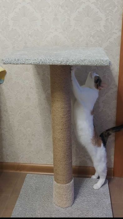 Когтеточка  90 см новая