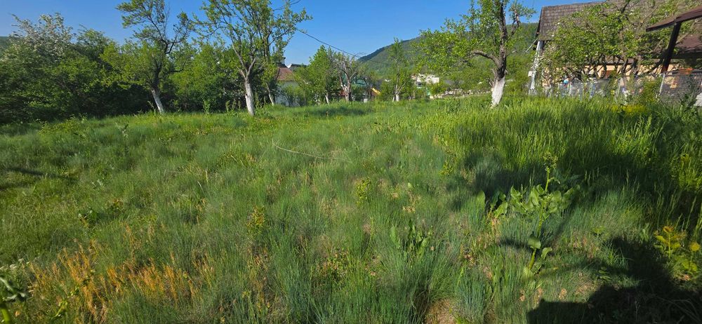 Vând teren cu ieșire la Dunăre în Clisura Dunării - Eșelnița