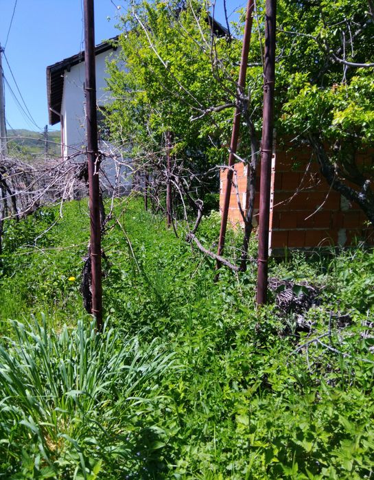 Продава се Къща в с. Мала Фуча, Област Кюстендил - 200 кв.м за 273 €/кв.м - Снимка #4