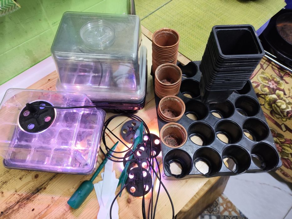 Мини парник с ультрафиолетовой подсветкой