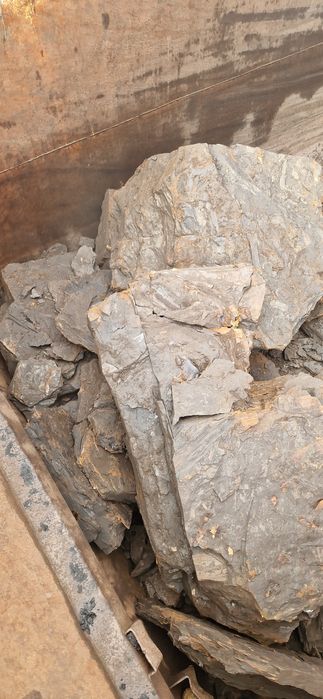 Carbune lignit  și Lemne