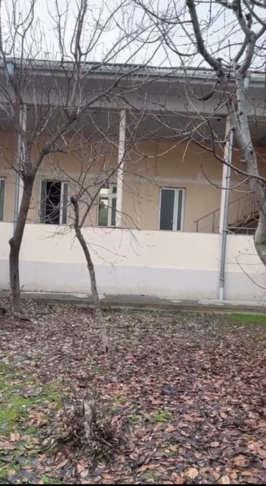 Ozimniki! Moyqorgonda 3 sotik yer sotiladi 10x30 tekis tortburchak