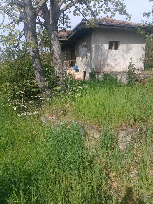 Продава се Парцел в с. Малък Поровец, Област Разград - 2711 кв.м за 9 €/кв.м - Снимка #5