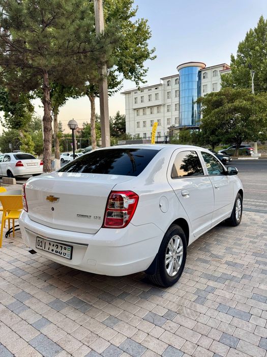 Cobalt stayl MCM 4-pozitsa full