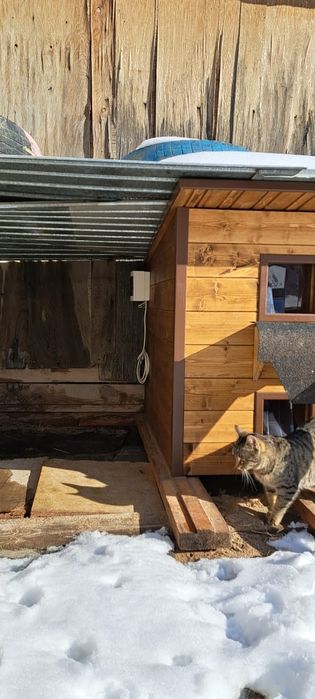 Домик с утеплением для кошек