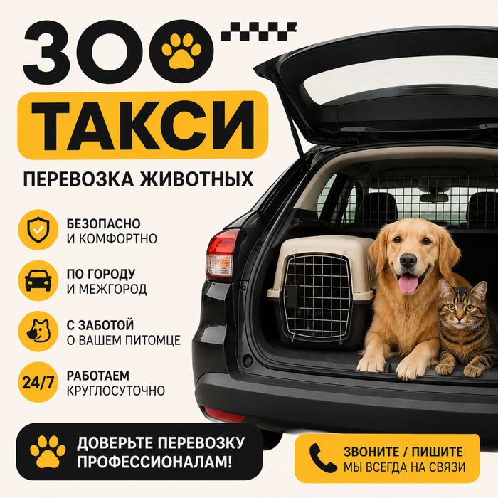 Зоо такси - перевозка для животных