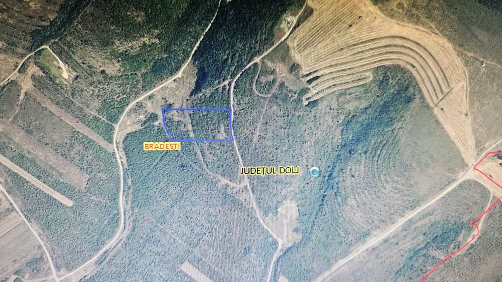 Teren extravilan 11.800 mp – Brădești, jud. Dolj – ideal investiție panouri fotovoltaice / viticultură / livadă