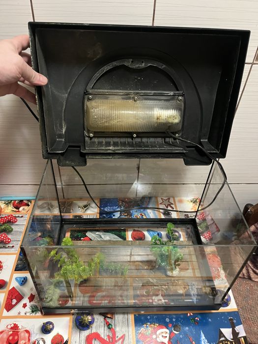 Vand acvariu pt incepatori