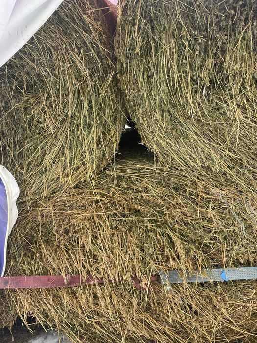 Baloti lucerna mari de 120x120