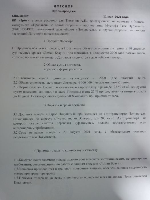 Куры Несушка Коралл