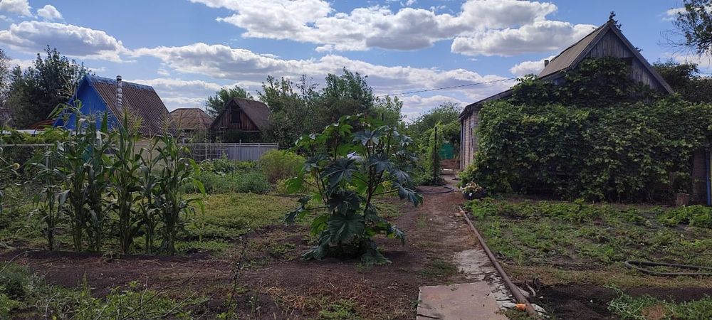 Продам дачу с летним домом
