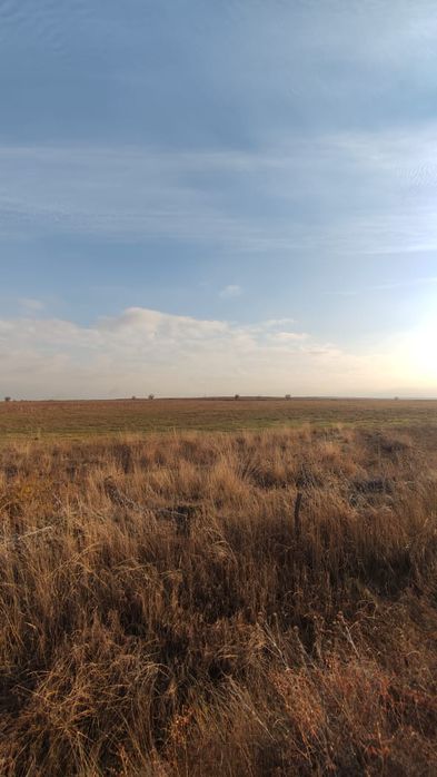 Продам Крестьянское Хозяйства