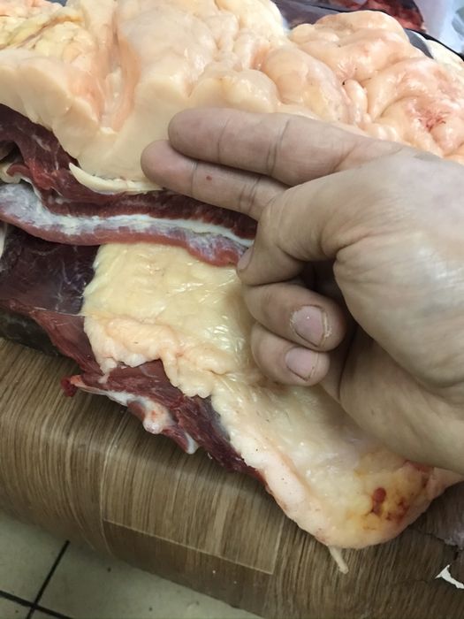 Соғым аяқтап, жіліктеп, тушамен