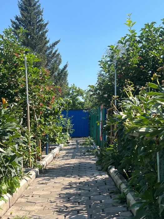 ПРОДАМ ДАЧУ. Садовое общество «Дорожник»