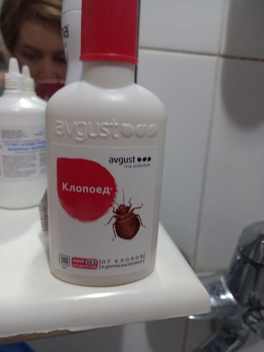 Продам клопоед срочно