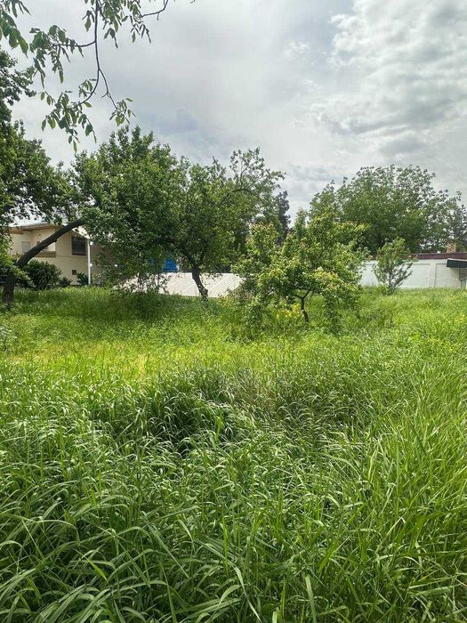 Продается ДАЧА Для себя или готовый бизнес!