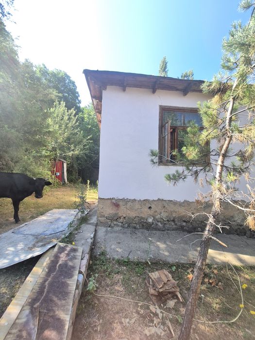 Чимган дом под дачу