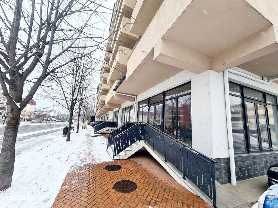 Spatii de vanzare / Dem Radulescu