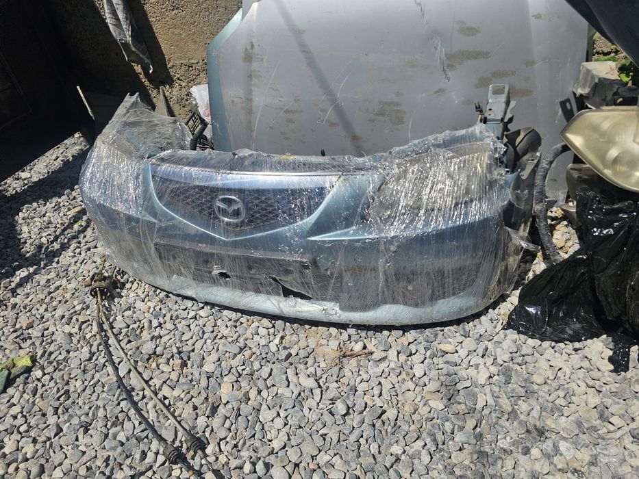 Мини морды ноускат