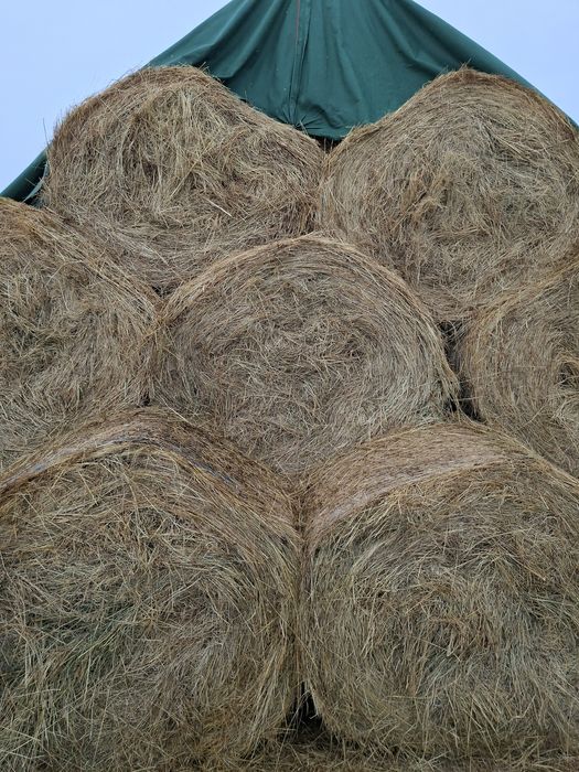 Baloți de fân de vânzare!