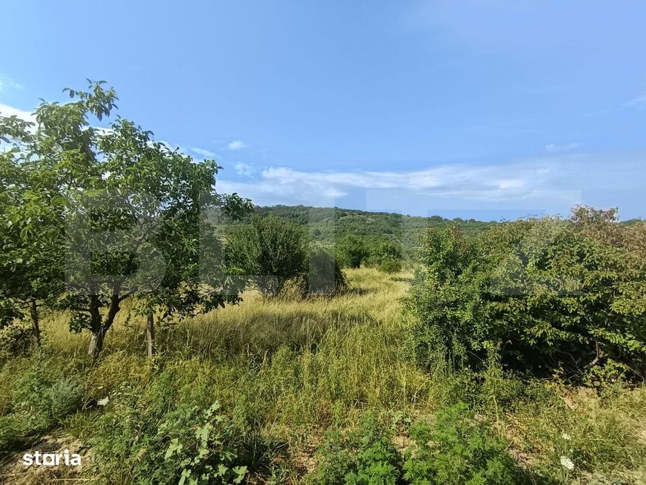 Teren intravilan, de vanzare, 1252 mp, zona Arghires