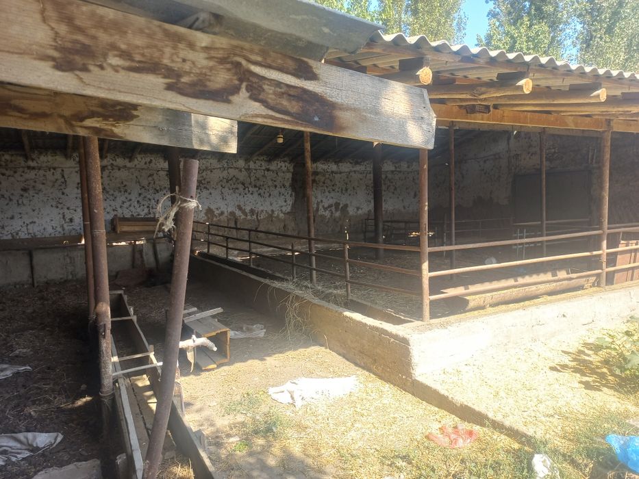 Продаётся земельный участок коммерческого назначения в Янгиёле (Ташкен