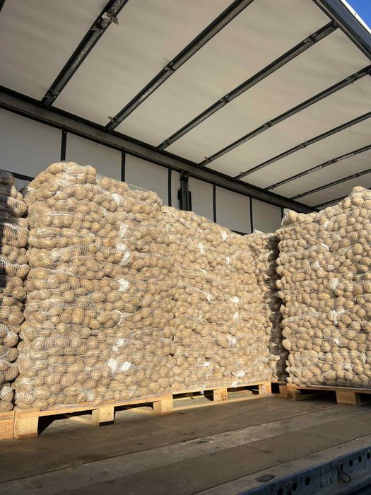 Cartofi +55, Mere , varză, morcovi