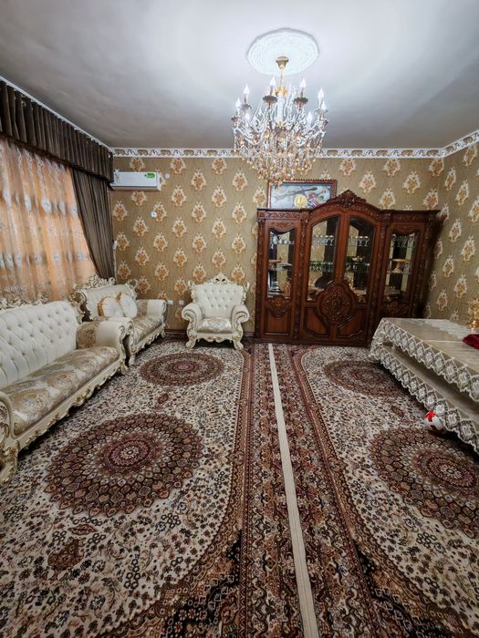 6 so'tig'lik kotej sotiladi