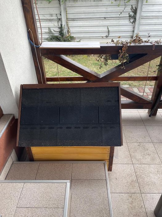 Cusca de caine talie mica spre medie