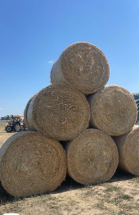 Baloti de paie mari presati ARGES