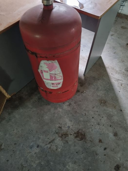 Instinctor bun pentru gratar