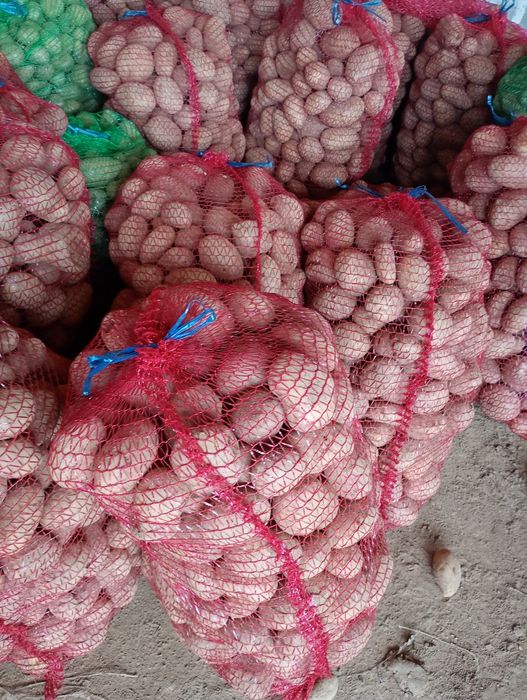 Cartofi pentru consum