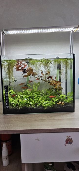 Аквариум ёмкость 30 литров