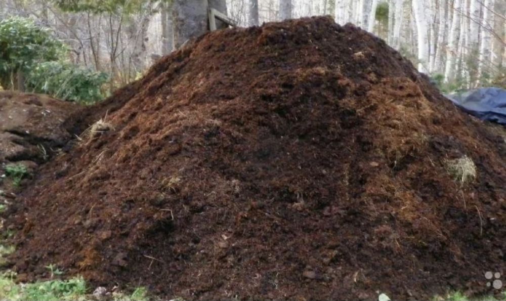 Доставка Навоза Перегноя